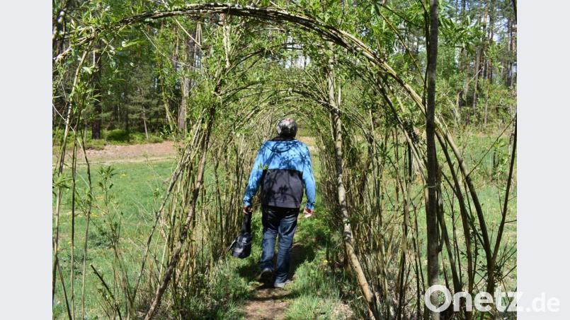 Der Weidentunnel. Bild: rgr