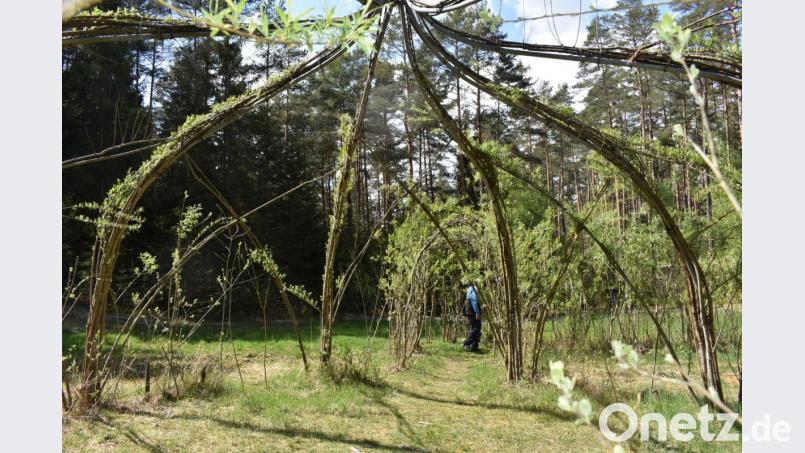 Die Weiden-Kathedrale zieht die Blicke der Besucher auf sich. Bild: rgr