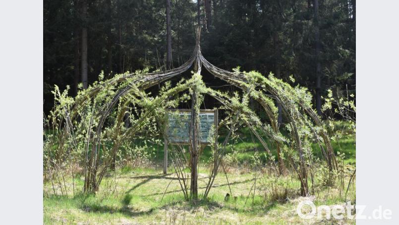 Die Weiden-Kathedrale zieht die Blicke der Besucher auf sich. Bild: rgr