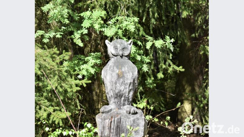 Die Eule passt auf. Bild: rgr