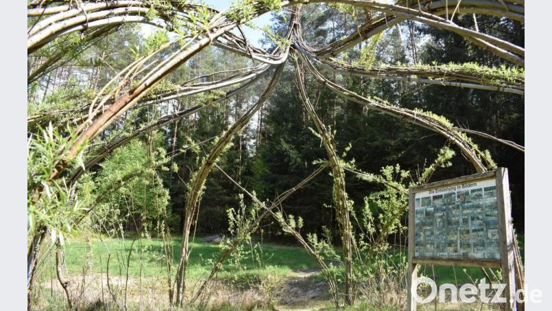Die Weiden-Kathedrale zieht die Blicke der Besucher auf sich. Bild: rgr