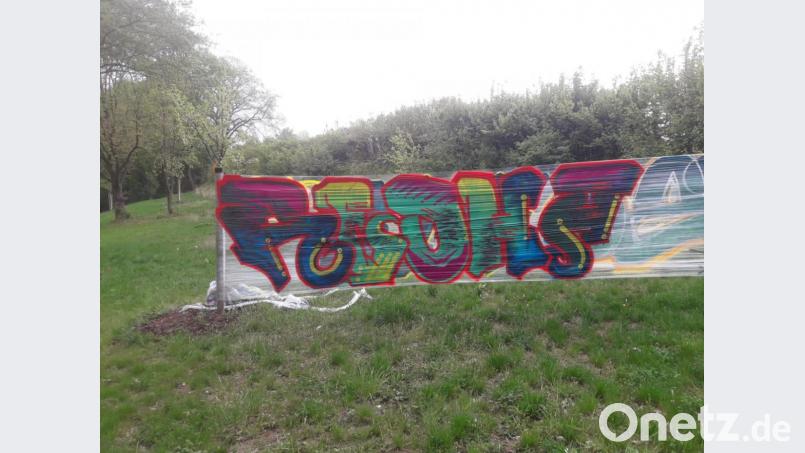 Eigentlich soll hier die Natur hier am Erzberg ein Refugium haben. Graffiti gehören nicht dazu. Bild: exb