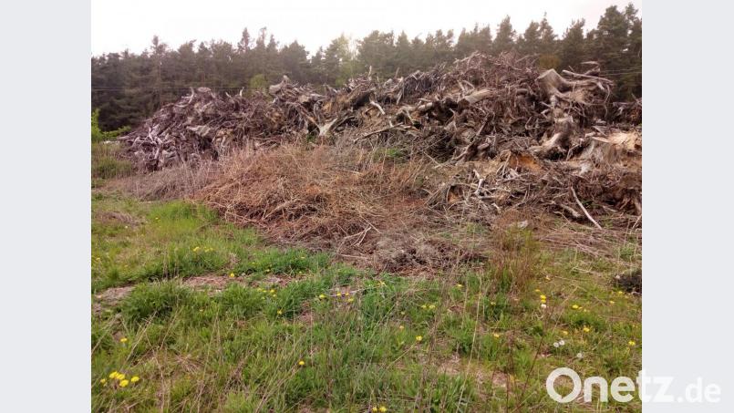 Eine ökologische Ausgleichsfläche mag für Laien unbewirtschaftet aussehen – aber sie wird gepflegt. Hier Müll abzuladen, ist verboten. Auch wenn es dabei um Schnittgut geht, wie hier bei Pittersberg. Bild: exb