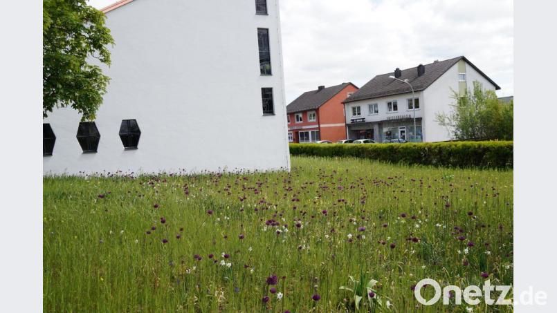 Während die Kirchentüre geschlossen war, ist das Blumenfeld neben der Auferstehungskirche üppig aufgeblüht. Es bietet Bienen Nahrung und erfreut die Gottesdienstbesucher, die ab Sonntag wieder in die Kirche gehen dürfen. Bild: weu
