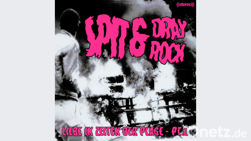 Das Bild für das Album-Cover hat André Gertlowski fotografiert. Bild: hfz