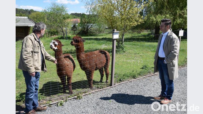 Manfred Urban (links) erläutert FDP-Landtagsabgeordnetem Christoph Skutella seine Probleme. Auch die beiden Alpakas würden sich freuen, wenn wieder mehr Leben im Tierpark bei Irchenrieth einkehren würde. "Abstand halten ist auf den breiten Wegen zwischen den Gehegen kein Problem" versichert Betreiber Urban. Bild: fz