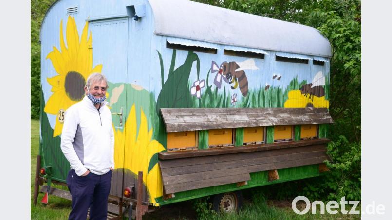 Vom 18. Mai bis 25. Mai dreht sich auf dem Golfplatz Schwanhof alles um die Bienen. Am 20. Mai findet der &quot;Tag der Bienen&quot; statt. Auf die Besucher wartet Bienenstich und Honig vom Golfplatz. Bild: bey