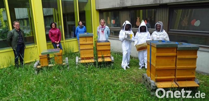 Das eingezäunte Areal der Schulimkerei auf der Südseite der Sophie-Scholl-Realschule beherbergt sechs Bienenvölker. Das begutachten (von rechts) die drei Schülersprecherinnen sowie Lehrkraft und Imkerin Karin Hoffmann, Biologielehrerin Margit Riedl, Schulleiterin Susanne Genser und Konrektor Georg Hammer. Bild: Dobmeier Bild: Dobmeier