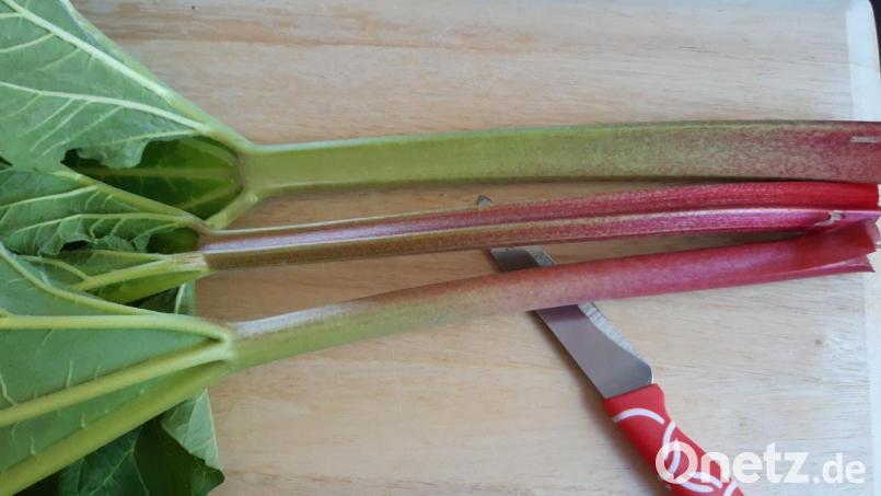 Der Nachtisch wächst im Garten. Aus ein paar Rhabarberstengeln lässt sich schnell und unkompliziert ein Kompott machen. Bild: Lowak