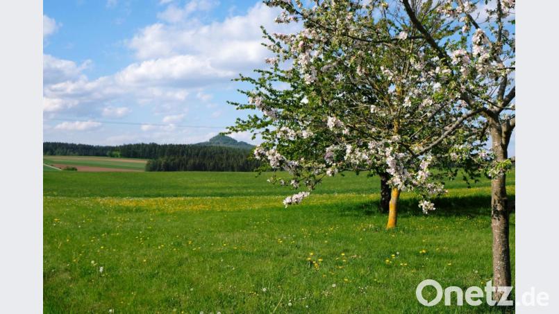 Heimat "Kulmgau": Lebensgefühl in Weiß-blau Bild: do