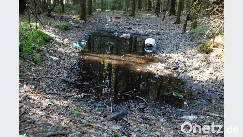 Ein Wanderer hat ein illegales Mülllager beim Tiefbrunnen der Gemeinde Immenreuth entdeckt. Bild: bkr