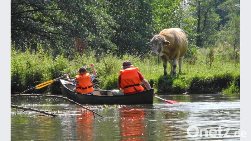 Warum nicht "Urlaub dahoam": Auch die Heimat bietet Sehenswertes. Bild: ref