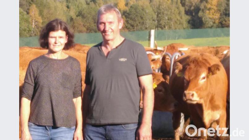 Hans und Lissi Brunner aus Eisersdorf haben ihre Entscheidung für die Limousin-Rinder noch nie bereut Bild: Vogl, Christa
