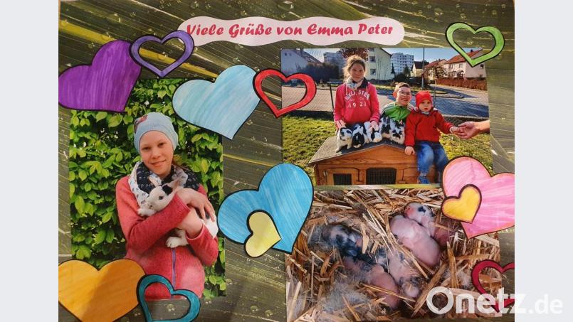 Mit einer Fotokollage gestaltet die Neustädter Realschülerin Emma Peter aus Tirschenreuth ihren Brief an einen Senioren. Bild: exb