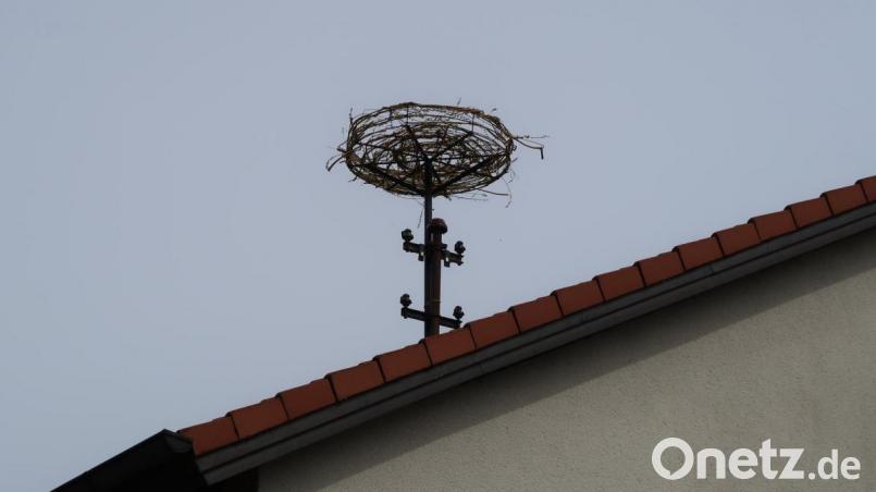 Das Metallgestell wurde mit Weidenruten ausgekleidet und mit weißen Farbklecksen versehen. Bild: rab