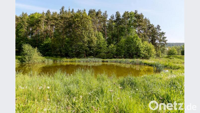 An der Uferböschung dieses Weihers nahe der Autobahn A 6 war der Schutt eingebaut.. Bild: Hösamer