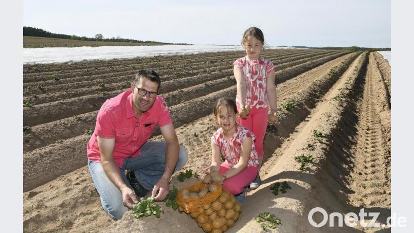 Thomas Trummer aus Hahnbach mit seinen Mädels Carolina (sitzend) und Theresa auf dem Kartoffelfeld. Ende Juni kann die frühe Kartoffelsorte "Valetta" geerntet werden. Bild: Petra Hartl