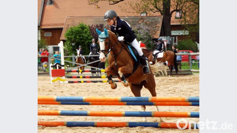 Beim Kinderreitverein RFZG Weiden lernen Kinder und Jugendliche den Umgang mit den Tieren und dem Reitsport. Der Bestand des Vereins ist ab dem nächsten Jahr bedroht, nachdem der Vertrag für das Gelände gekündigt wurde. Bild: R. Kreuzer