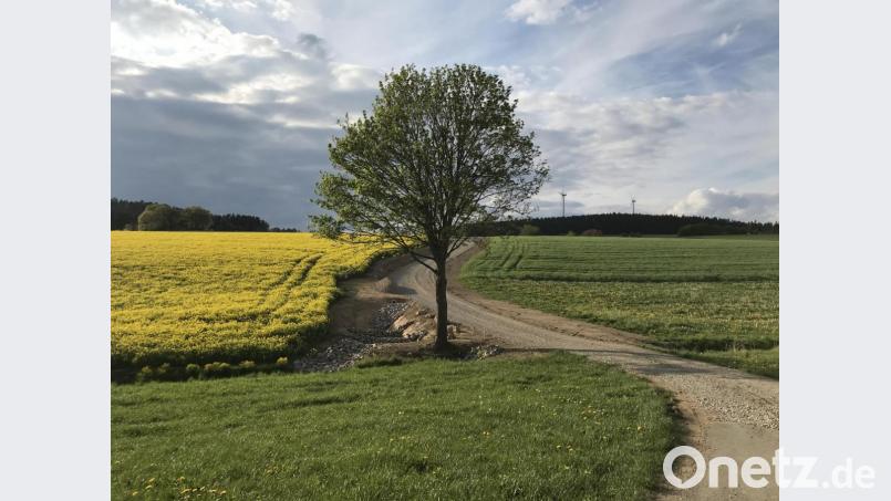 Die südöstlich von Weidenthal verlaufende Wegtrasse ist größtenteils abgeschlossen. In den Steilbereichen wird in den kommenden Wochen noch die Trasse mit Rasenfugensteinen befestigt. Bild: exb