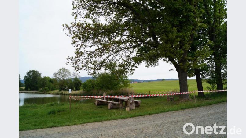 Die Baumgruppe rechts, die sich am Ufer des Badeweihers in Muschenried (links im Bild) befindet, ist vom Eichenprozessionsspinner befallen. Die Marktgemeinde hat den Bereich absperren lassen. Bild: Sonja Meier