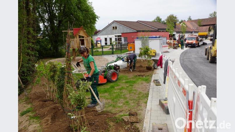 Viel Grün brachte dieser Tage die Firma Garten Punzman vor den Kindergarten und grünte den Kinderspielplatz ein. Bild: bkr