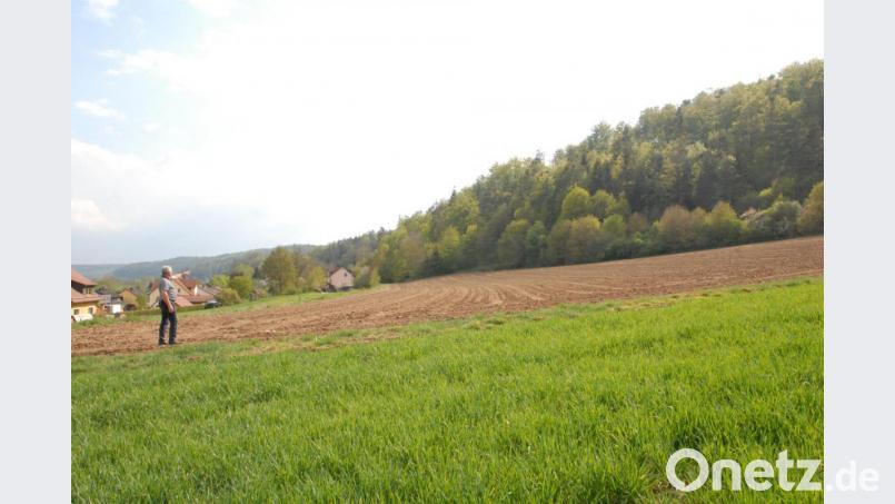 Zweiter Bürgermeister Martin Bauer sieht sich das künftige Baugebiet in Emhof an Bild: pop