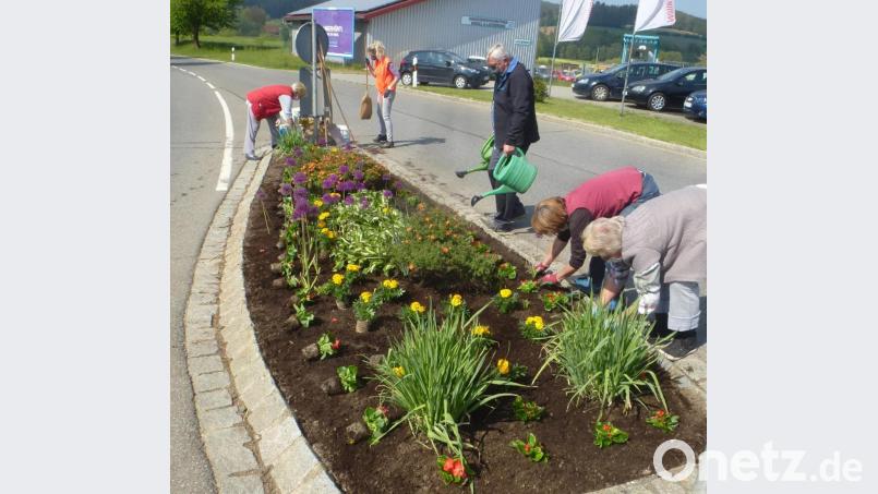 Die Mitglieder des Gartenbauvereins pflanzten unter anderem die Verkehrsinsel an der Kreuzung bei der Tankstelle Prey neu an. Bild: mad