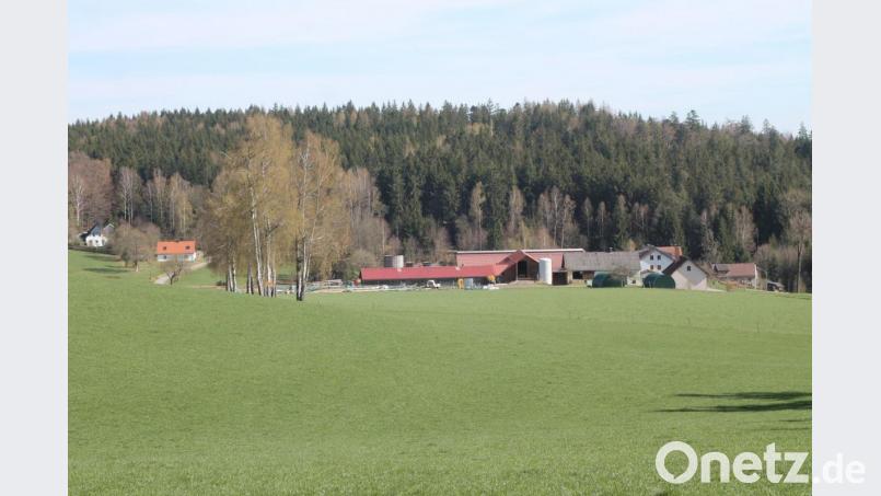 Der komplette Ortsteil Gehenhammer mit der Mühle. Bild: pi
