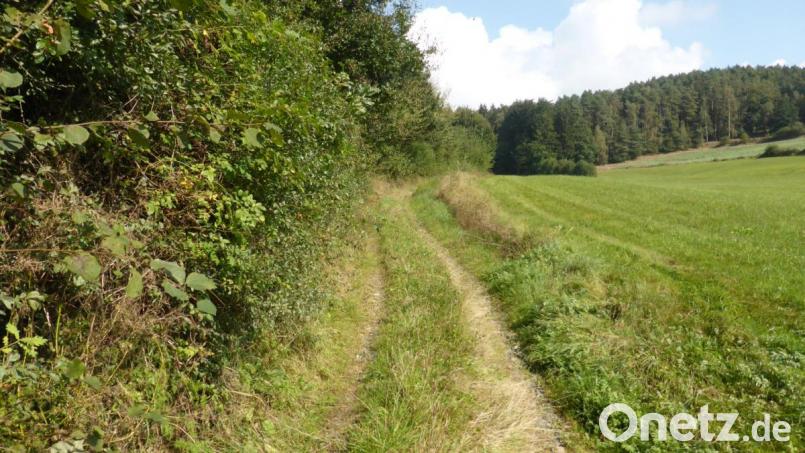Vorhandene Erdwege werden durch zeitgemäße Schotterwege ersetzt, um die Erreichbarkeit der Felder und Wälder mit neuzeitlichen Maschinen zu ermöglichen. Bild: exb/Amt für Ländliche Entwicklung