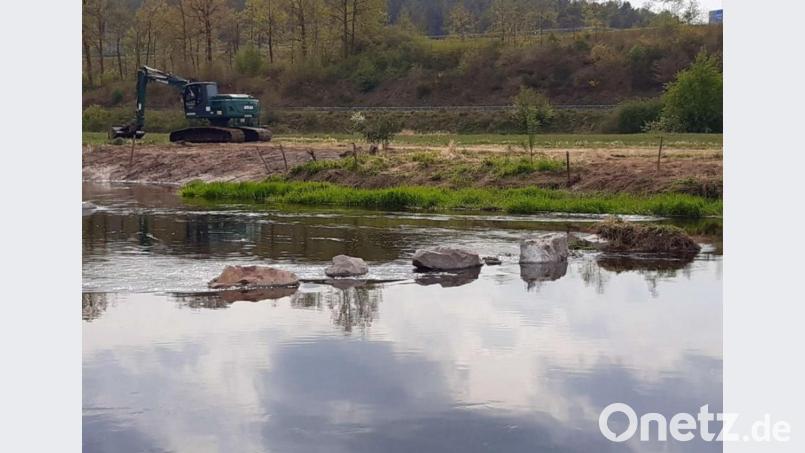 Die Naab südlich von Wernberg-Köblitz: Heuer werden verschiedene Baumaßnahmen umgesetzt, etwa das Einbringen von Störsteinen, Ausbuchtungen am Ufer und die Ufer-Bepflanzung mit Weidensetzstangen. Bild: exb
