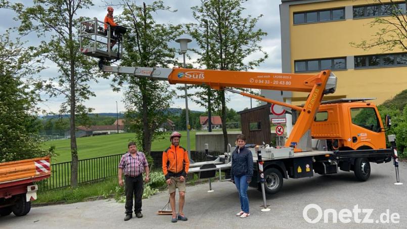 Auch im Bereich der Grundschule Winklarn-Thanstein wurden mehrere Bäume untersucht. Bild: amö