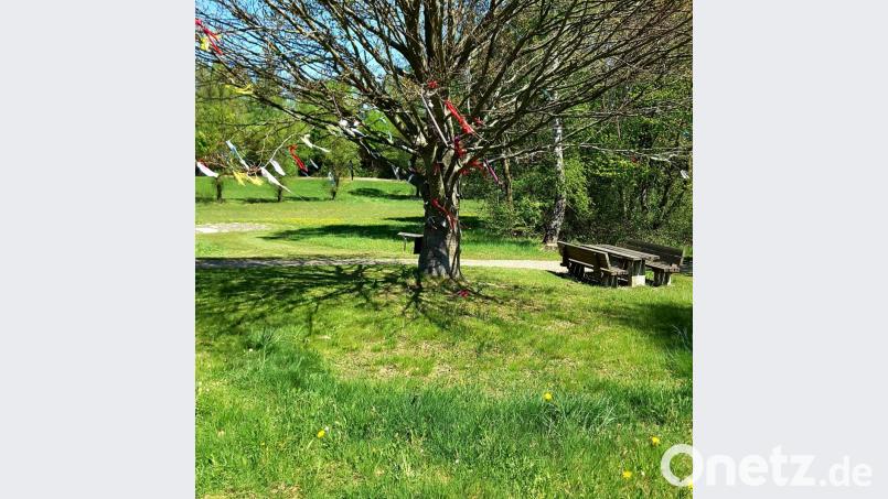 Der Wunschbaum im Kurpark lädt zum Verweilen und Abschalten ein. Ein buntes Band aus der Tasche an den Baum gebunden soll die Wünsche symbolisieren. Bild: gi