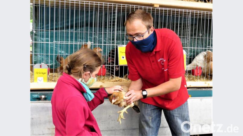 Ronja Frank, eine noch sehr junge Hühnerhalterin, begutachtet das Huhn, das sie von Christian Meißner kaufen möchte. Bild: ubb