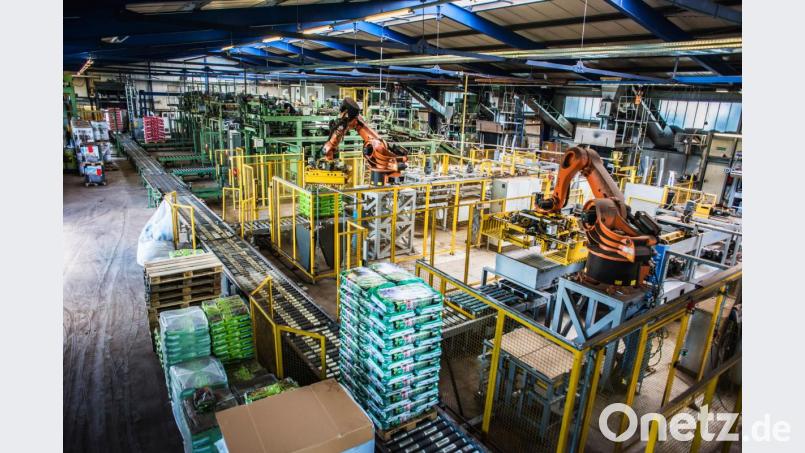 In dieser Halle des Ziegler-Erdenwerks treffen Naturrohstoffe auf Hightech: Körperlich übermäßig belastende Tätigkeiten erledigen Roboter. Für die unternehmensweit über 250 Mitarbeiter gibt es in einem wachstumsstarken Markt - auch in Coronazeiten - dennoch viel zu tun. Bild: Rosenboom/Ziegler