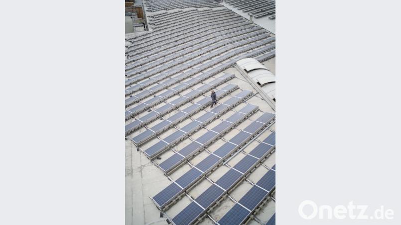 Photovoltaikanlage auf den Hallendächern: Rund 30 Prozent des benötigten Stroms stellt das Unternehmen selbst her. Bild: Godelmann