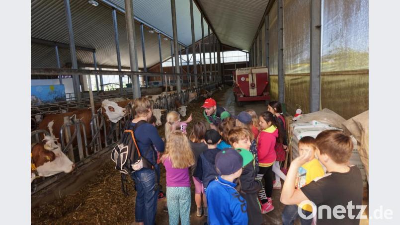 Bauernhöfe eignen sich gut, um Kindern die „Schule fürs Leben“ näherzubringen. Bild: Josef Wittmann/exb