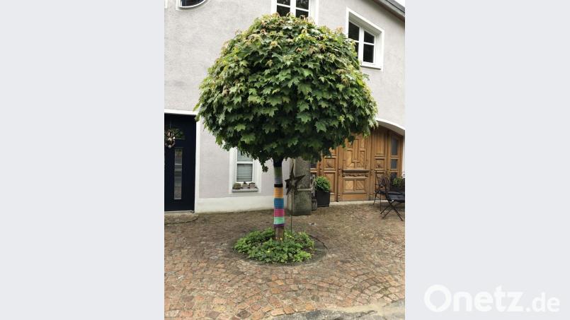 Nachdem das Engagement von Susanne Preißinger an Bäumen der Stadt Grafenwöhr beim Bürgermeister nicht auf Wohlwollen stieß, zeigt sich jetzt ein Baum vor dem Haus von Susanne Kirsch in buntem Gewand. Bild: myd