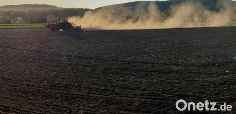 Staubwolken zieht dieser Traktor auf einem Acker zwischen Pfreimd und Nabburg hinter sich her. Bild: cv