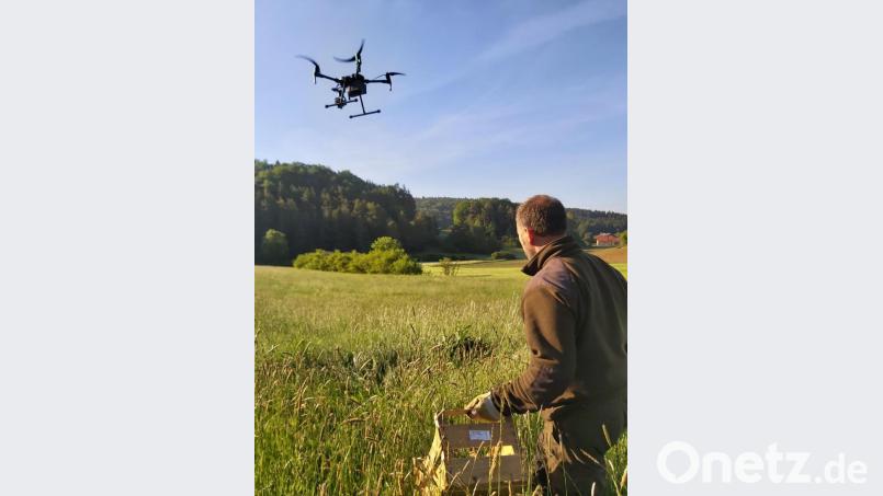 Einsatz für die Drohne. Mit Hilfe dieser wurden vier Kitze aus der zu mähenden Wiese geborgen. Bild: brü