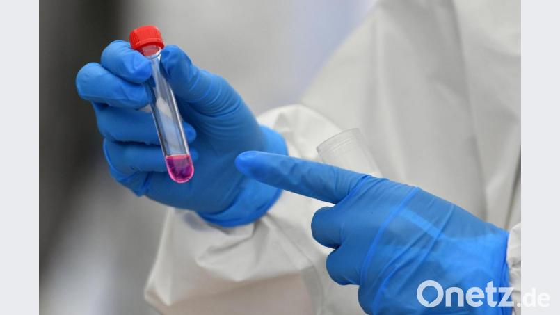 Eine weitere Infektion mit dem Coronavirus meldete das Landratsamt Schwandorf am Donnerstag. Archivbild: Hendrik Schmidt/dpa-Zentralbild/ZB