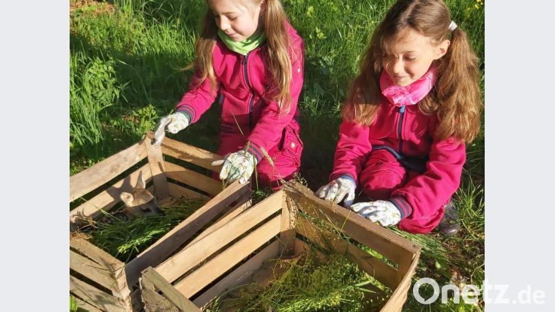 Unter den wachsamen Augen der Mädchen warten die Kitze auf ihre Freilassung. Bild: brü