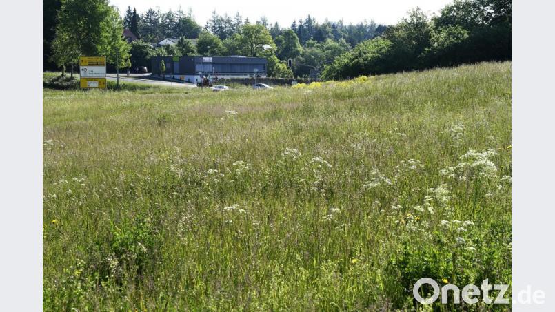 Der Blick in nördliche Richtung auf die Kreuzung B14-Neumarkter Straße und die Krötensee-Apotheke: Das Areal soll weiter landwirtschaftlich genutzt und nicht zu einem Gewerbepark umgewidmet werden. Bild: Petra Hartl