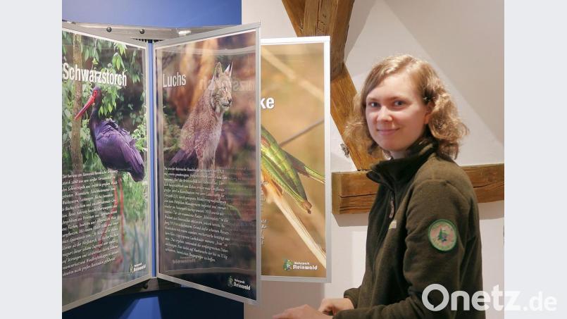 „Die Arbeit im Naturpark Steinwald hat mir viel Spaß gemacht“, sagte Amelie Nöth (Bild) bei der Verabschiedung durch den Vorstand. Bild: bsc
