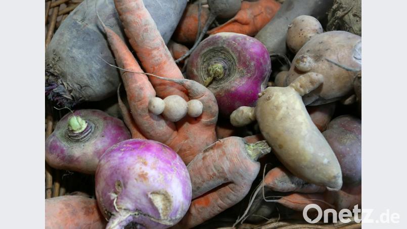 Krumm gewachsene Möhren und anderes Gemüse liegt in einem Korb. Die Rübenretter nutzen solches Gemüse für ihr Geschäftsmodell Bild: Stephanie Pilick/dpa