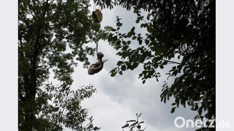 Die Wasserfrau schwebt am Kran herein. Bild: pi