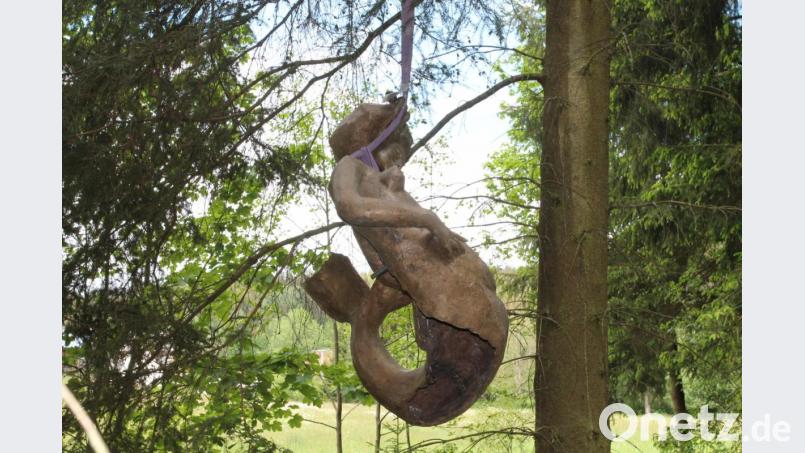 Die Wasserfrau schwebt am Kran herein. Bild: pi