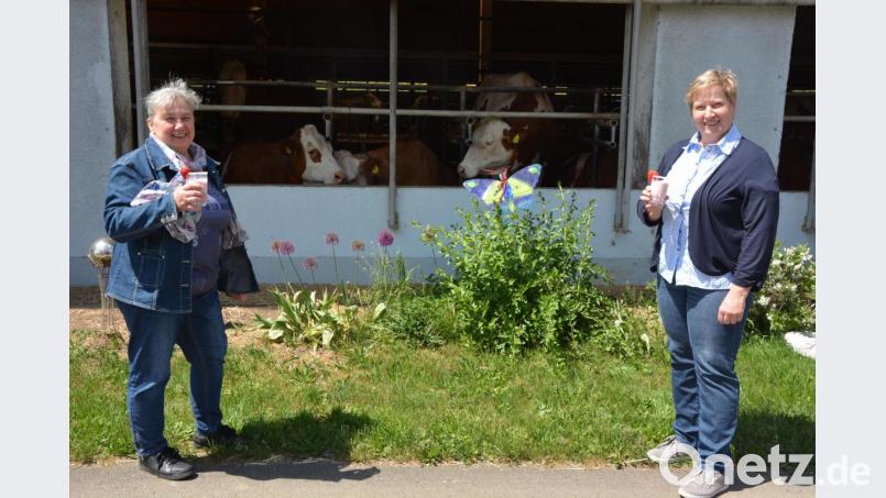 Kreisbäuerin Irmgard Zintl (rechts) und Landfrauen-Vorstandsmitglied Elfriede Stock genießen den frisch zubereiteten Erdbeer-Milch-Shake zum Weltmilchtag. Frische Milch aus eigenem Milchviehbetrieb (im Hintergrund) schmeckte eben. Bild: jr