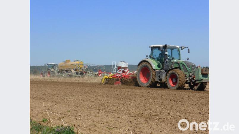Das Amt für ländliche Entwicklung probiert im Bereich Kondrau verschiedene Möglichkeiten aus, wie sich der Bodenabtrag nach Starkregenereignissen verringern lässt. Bild: exb