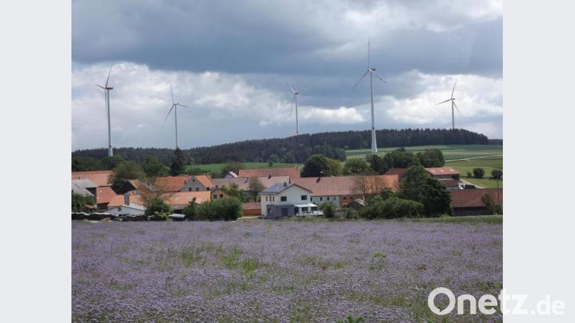 Der Windpark Pamsendorf leistet einen wichtigen Beitrag zur Energiewende. Statistisch gerechnet wurden 2019 rund 6700 Haushalte mit Öko-Strom versorgt. Bild: bnr