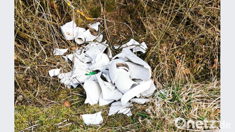 Die einen lagern ihren Abfall wie hier das zertrümmerte Waschbecken in der Natur ab, andere sorgen sich um eine saubere Landschaft. In Eslarn packen nun die Bürger privat an, um solche wilden Müllablagerungen in den Griff zu bekommen. Das Motto: Clean Isling - sauberes Eslarn. Bild: gz